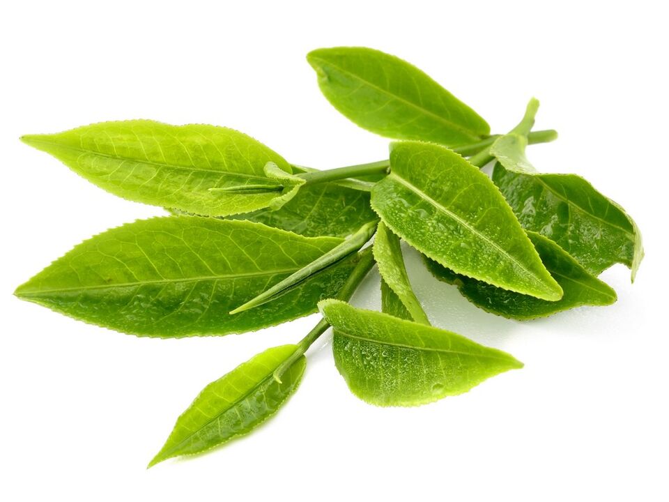 zeleni čaj v Keto Matcha